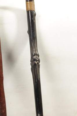 Lot 461 - A LATE 19THCENTURY HORN HANDLED WALKING STICK AND ANOTHER