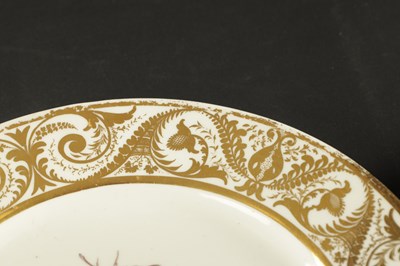 Lot 69 - A PAIR OF DERBY PORCELIAN PLATES PAINTED WITH SPRAYS OF FLOWERS CIRCA 1810
