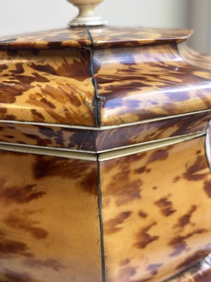 Lot 1407 - AN EARLY 19TH CENTURY TORTOISESHELL AND SILVER WIRE INLAID HEXAGONAL DOUBLE TEA CADDY