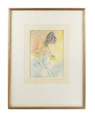 Lot 931 - PADDY WAREING A WATERCOLOUR 'JUST A DREAM' DATED 1982